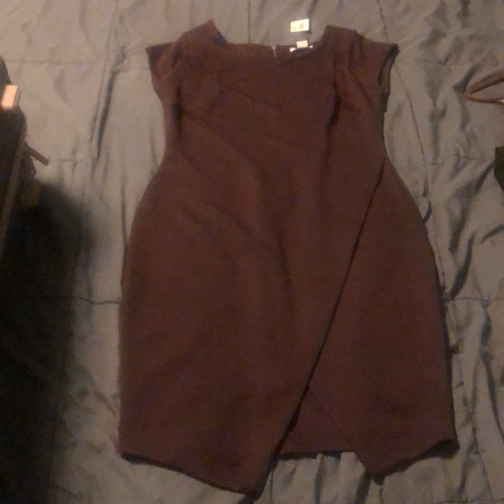Barr III Dress NWT size Large Dark Prune color!